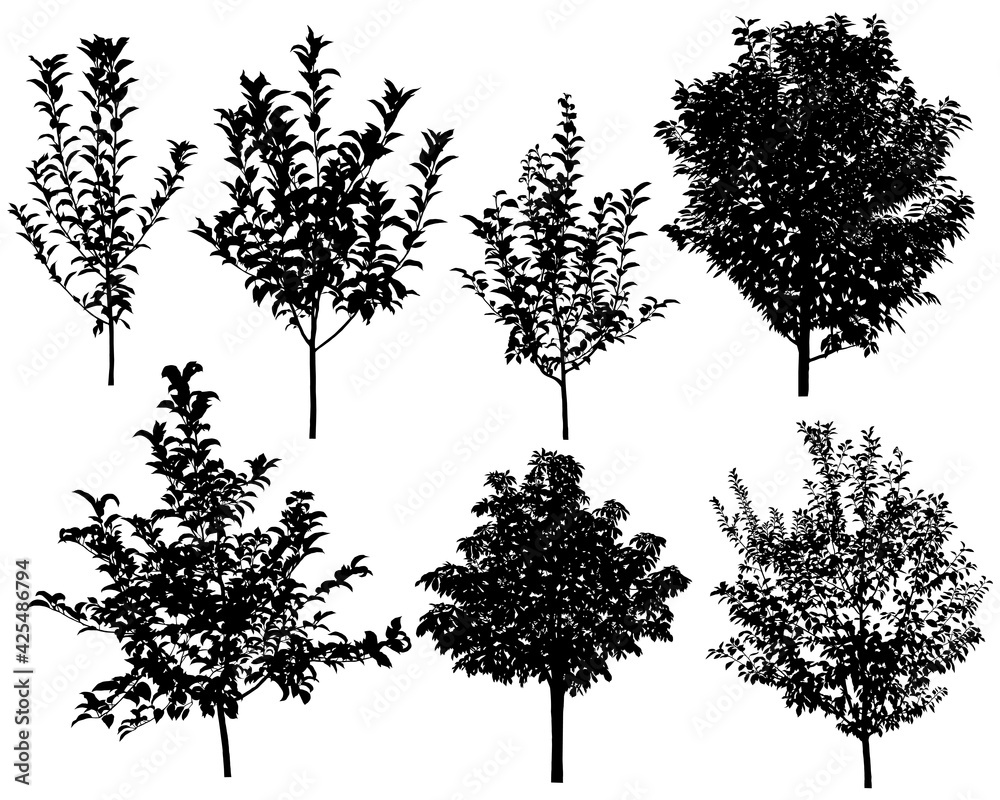 Fototapeta premium Collection of silhouettes of trees: apple, cherry, chestnut, plum