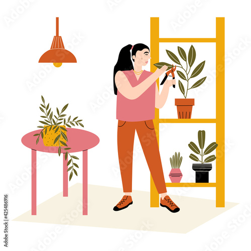A person caring for indoor flowers. Vector flat illustration with woman pruning leaves of a houseplant. A scene with a girl enjoying her hobby at home. Home gardening