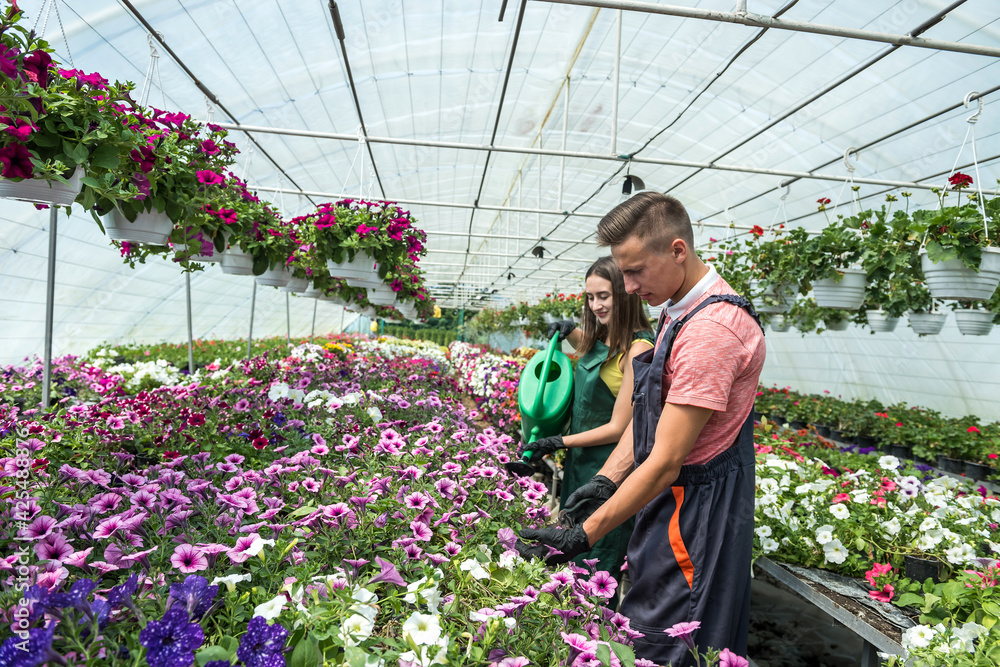 happy workers in the greenhouse who grow many different flowers for sale