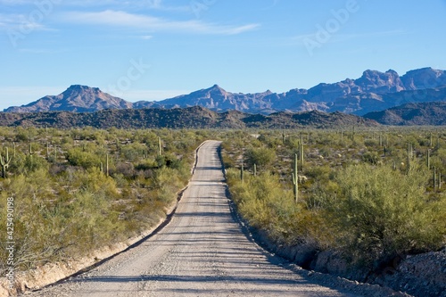 Ajo Mountain Drive in Organ Pipe Cactus National Monument in Arizona USA