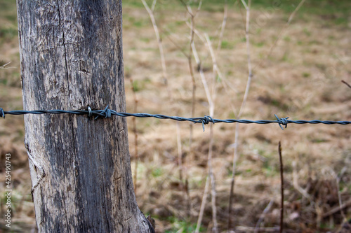 closed area, secured with barbed wire, located in Masuria in Poland, former Prussian lands near the city of Elk