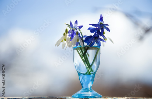 Small bouquet of Galanthus Nivalis snowdrops flowers and  Scilla monanthos or Scylla caucasica in a shot blue glass  against the background of the blue sky with clouds. Selective focus photo