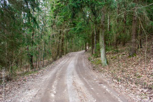 A dirt road leading through an old forest, located in Masuria, Poland, in the former Prussian lands near the city of Ełk