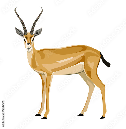 Detailed antelope on white background. Animals