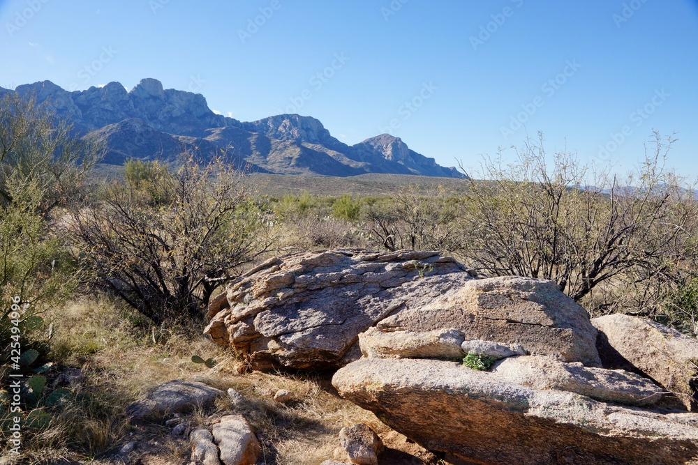 Santa Catalina Mountains in Catalina State Park near Tucson in Arizona USA