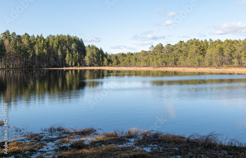 Calm lake reflection in a beautiful morning. 