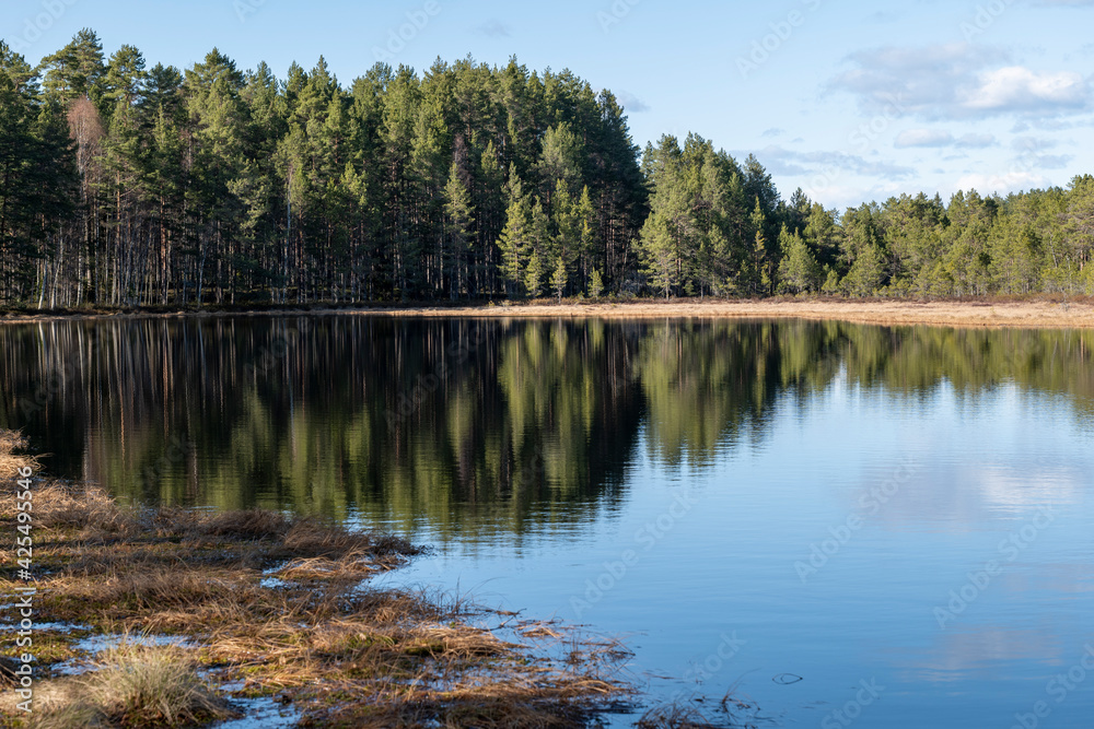 Calm lake reflection in a beautiful morning. Calm lake reflection in a beautiful morning.
