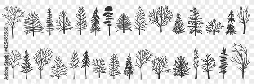 Silhouettes of trees pattern doodle set. Collection of hand drawn various black trees silhouettes in forests or parks natural pattern isolated on transparent background 