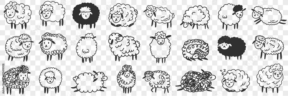 Fototapeta premium Funny white and black sheep animals doodle set. Collection of hand drawn various funny cute fluffy sheets in farms in different poses enjoying life isolated on transparent background