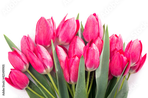 Fototapeta Naklejka Na Ścianę i Meble -  Pink tulips bouquet isolated on white background.