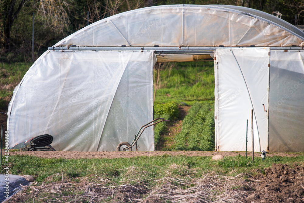 Plastic greenhouse for food production in agriculture. Fresh vegetables all year round. Plastic greenhouse for food production in agriculture. Fresh vegetables all year round.