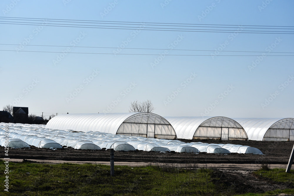 Set of greenhouses in Ukraine, early cultivation of crops photo