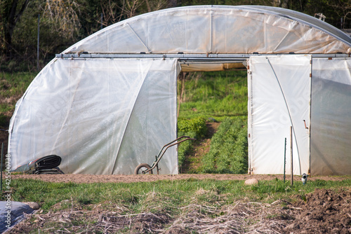Plastic greenhouse for food production in agriculture. Fresh vegetables all year round. © Maghlaoui