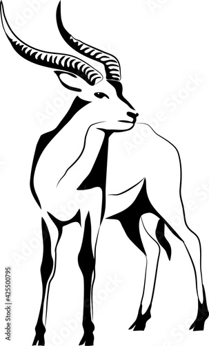 Lechwe - stylized black and white vector illustration