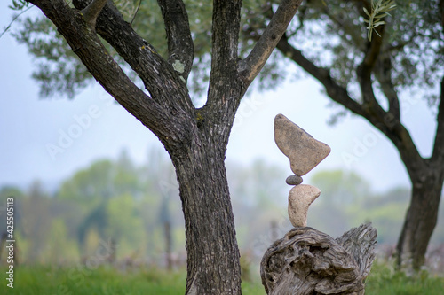 Cuadro en lienzo Olive tree and balance