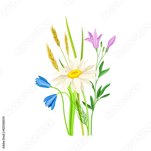 Freshly Cut Wildflowers and Meadow Plants on Stem as Floral Vector Composition