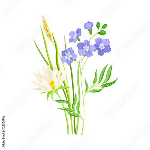 Wildflowers Composition with Meadow Plants and Flora Closeup View Vector Illustration