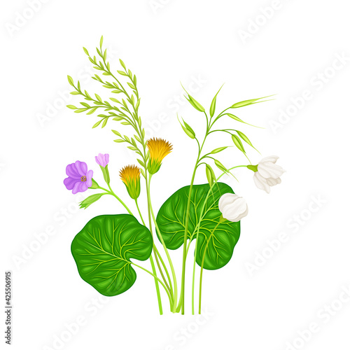 Wildflowers Composition with Meadow Plants and Flora Closeup View Vector Illustration