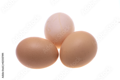chicken eggs isolated
