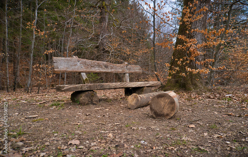 Wooden Bench in the Forstenried Wild Park in Germany photo