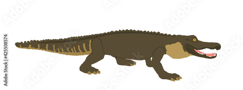 Crocodile vector illustration isolated on white background. Alligator symbol. Cayman illustration, powerful reptile animal. Under water predator carnivore. © dovla982
