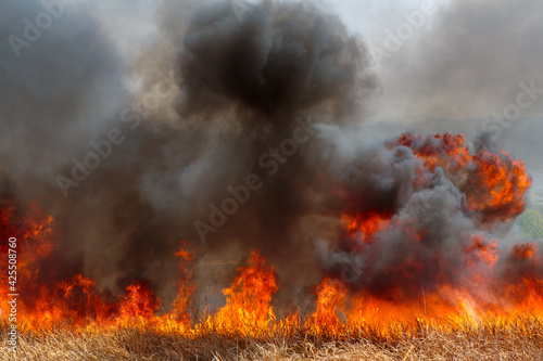Wild fire with orange flames and black smoke in a dry grassland in northwest Argentina