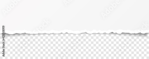 vector torn paper with ripped edges with space for your text	
