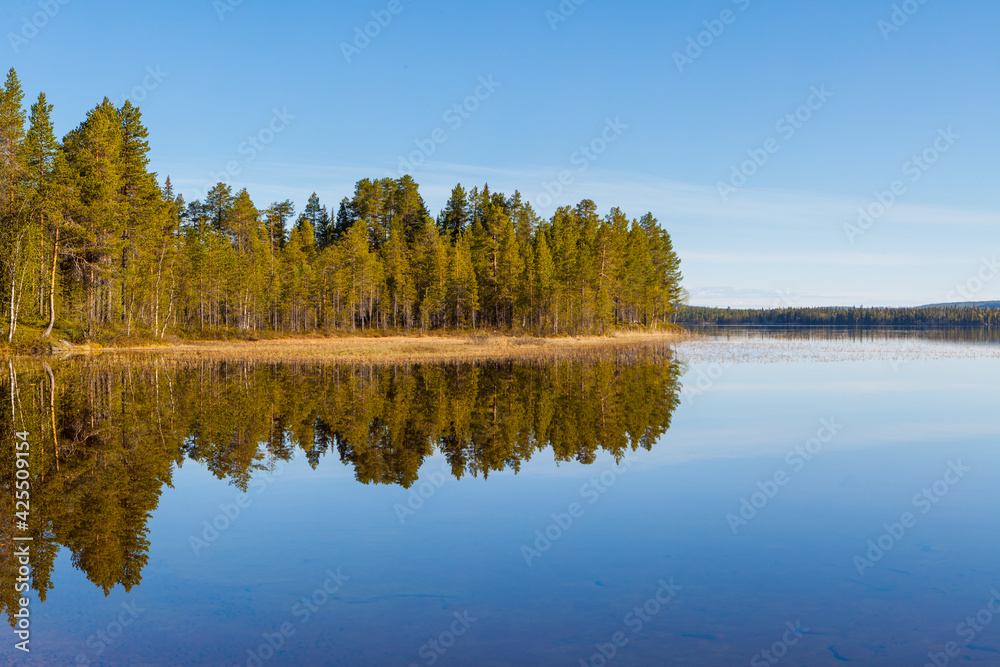 Landscape with lake and forests in early morning light in southern Lapland, Sweden