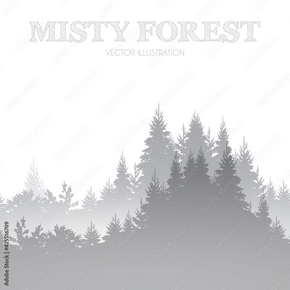 Fototapeta premium Misty forest. Minimal coniferous landscape. Nature nackground