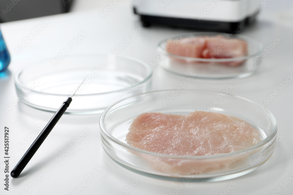Petri dish with piece of raw cultured meat on white table in laboratory, closeup Petri dish with piece of raw cultured meat on white table in laboratory, closeup
