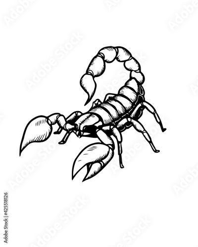 Vector illustration of a scorpion. Scorpion vector. 

Can be used as a sketch for a tattoo. Poster in black and white style.