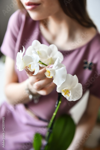 fresh flowers. Orchids, hydrangeas. Women's hands.