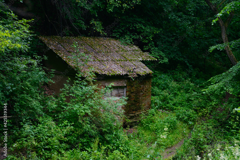 An abandoned old brick house in a dense green forest An abandoned old brick house in a dense green forest