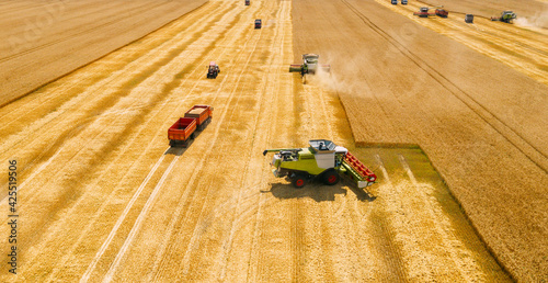 Combine harvesters gathers wheat on yellow grain field, aerial view.