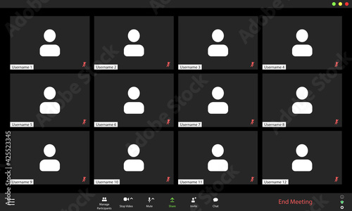Video conference user interface, video conference calls window overlay