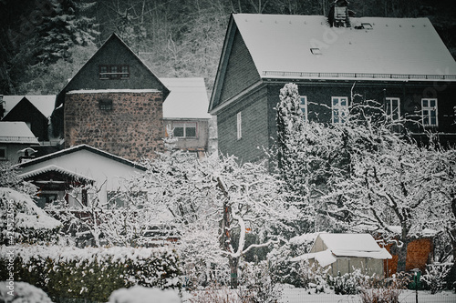 Europa in kalten Wintern im Schnee, Bäume sind mit Inium bedeckt. photo