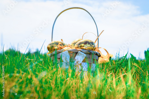 Easter basket with eggs. Golden egg with yellow spring flowers in celebration basket on green grass background. Easter decoration, foil minimalist egg design, modern design template.