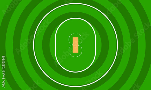 Top view cricket field with line and green grass background vector design