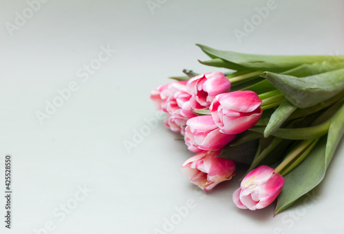 Fototapeta Naklejka Na Ścianę i Meble -  Pink tulips on   green background with copy space