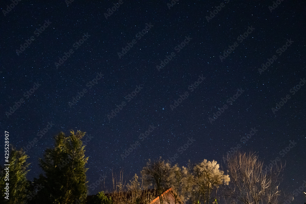 Nightsky from a Garden