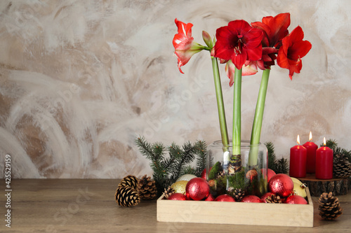 Beautiful red amaryllis flowers and Christmas decor on wooden table. Space for text photo