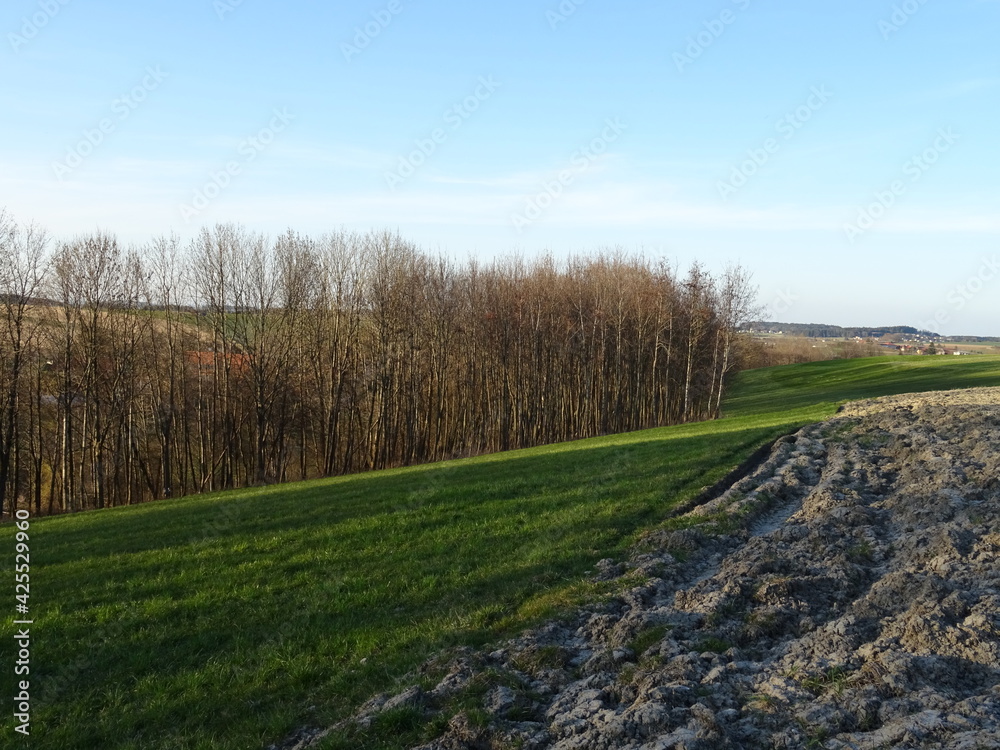 landscape in spring with forest, blue sky, clouds, acre and grass field
