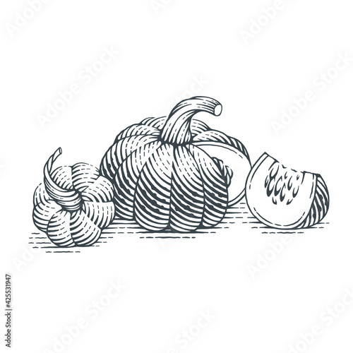 Pumpkin. Hand drawn engraving style vector illustration.