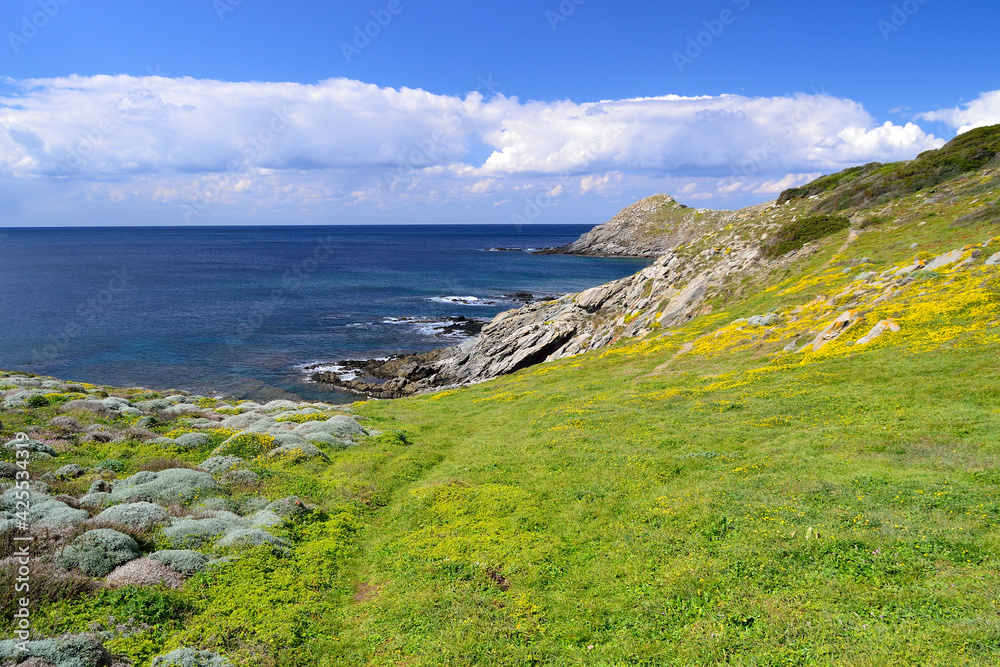 Veduta dela costa di Coscia di Donna