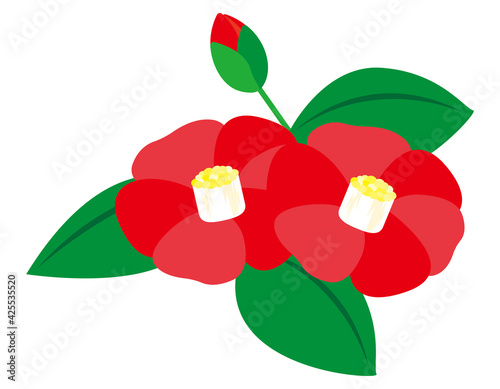 椿の花のベクターイラスト
