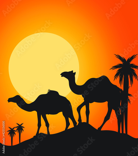 Camels Silhouette vector illustration © Naem