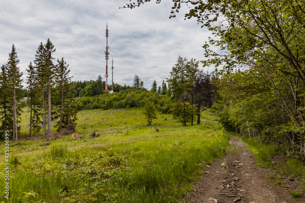 Obraz premium Long path with bushes and fields around in Kaczawskie mountains