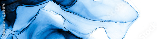 Abstract Blue and White Banner. Creative Cyan photo