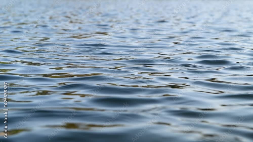 Bellas e hipnóticas ondulaciones en el agua Bellas e hipnóticas ondulaciones en el agua