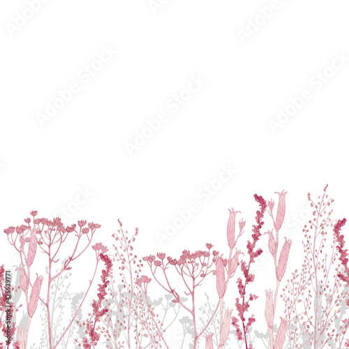 Seamless horizontal border dry branches of wild flower. Pattern from a watercolor herbarium. Design for packaging, duct tape, scotch tape, fabric, paper, frame, wallpaper, textiles. Hand drawing.